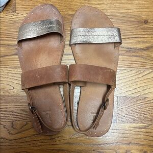 FRYE AND CO. Brown and Gold Minimalist Sandals